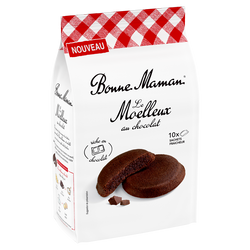 Gâteau moelleux au chocolat BONNE MAMAN 300g