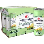 Boisson Gazeuse aromatisée Agrumes Thé SAN PELLEGRINO MOMENTI - 6x33cl