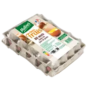 Oeufs datés du jour de ponte MATINES - x20