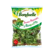 Jeunes pousses ( laitue verte et rouge, red chard), mâche et roquetteBONDUELLE, sachet 145g