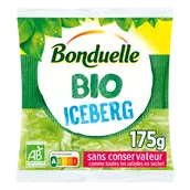 Laitue iceberg, BIO, BONDUELLE, sachet, 175g