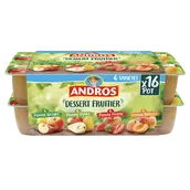 Dessert fruitier Panaché ANDROS - 16 pots de 100g