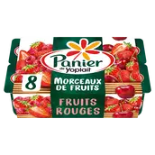 Yaourt aux fruits rouges PANIER DE YOPLAIT - 8x125g