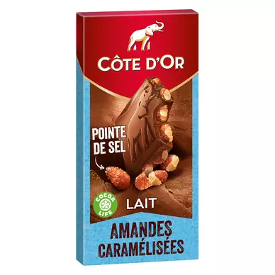 Chocolat au lait à la pointe de sel et aux amandes caramélisées COTE D'OR - Tablette de 180g