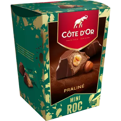 Assortiment Confiserie Chocolat COTE D'OR mini roc praliné, 279g