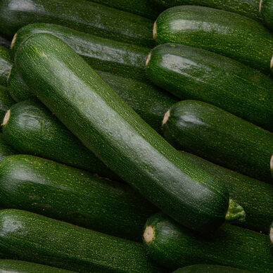 COURGETTE BIO BARQ 500 GR
