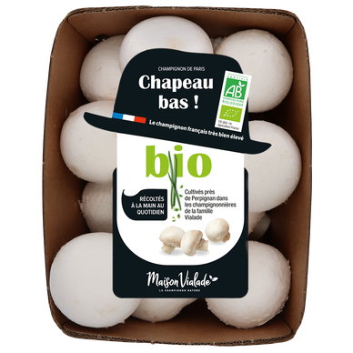 Champignon de Paris blanc, BIO, France, barquette 200g