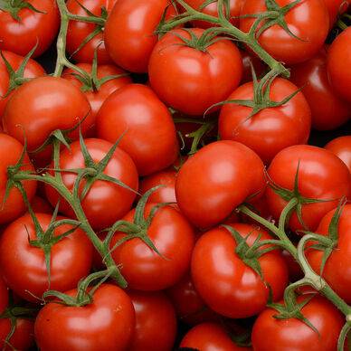 TOMATE GRAPPE vrac 1 kg environ
