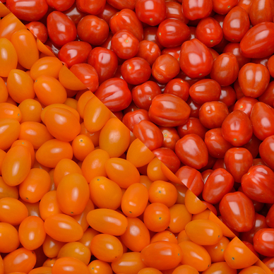 Tomate cerise, Mélange, catégorie Extra, France, barquette, 350g