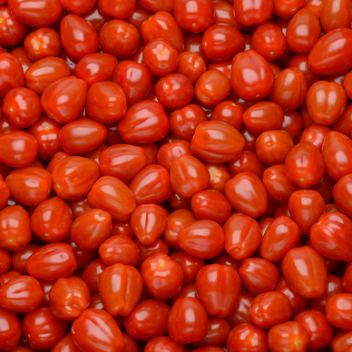 Tomate cerise, segment Les cerises allongées, coeur de pigeon, catégorie Extra, France, barquette 500g