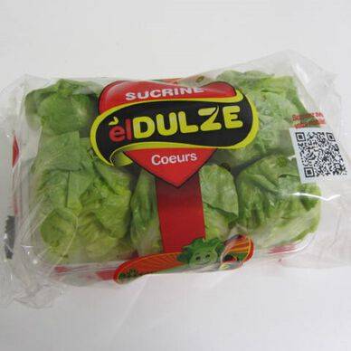 SALADE SUCRINE 6 PIECES