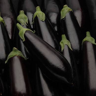 AUBERGINE vrac 1 kg environ