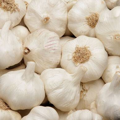 AIL BLANC BIO