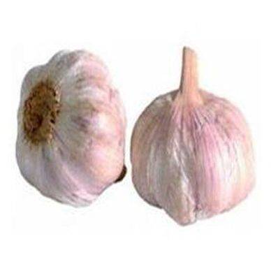 AIL BLANC vrac 500 g environ