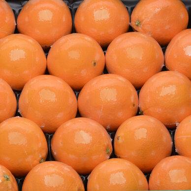 ORANGE FILET BIO 1 KG