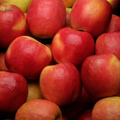 POMME PINK LADY vrac 1 kg environ