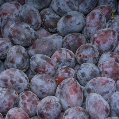 Prune rouge president, calibre +45, France 500 g