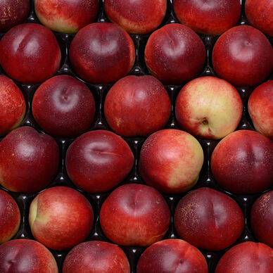 NECTARINE BLANCHE vrac 1 kg environ