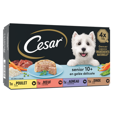 Barquettes chien sénior en gelée CESAR - 4x150g
