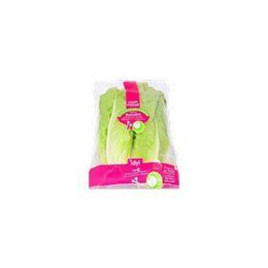 ROMAINE SACHET 2 PIECES