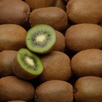 KIWI piece