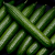 3606760074496_B1NG_1925442_S11.png