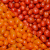 3700323802646_B1NG_1234171_S11.png