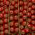 0205921000000_A_216350205921000000_S01.jpeg