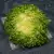 3368954204262_B1NG_5231973_S11.webp